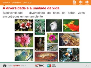 BIOLOGIA » CADERNO 1 » CAPÍTULO 1
                                            Início   Voltar   Próximo


A diversidade e a unidade da vida
Biodiversidade – diversidade de tipos de seres vivos
encontrados em um ambiente




      www.sejaetico.com.br                                      6
 