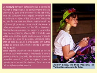 Mulher Girafa, da tribo Padaung, na
Tailândia, sudoeste da Ásia.
Os Padaung também acreditam que a beleza da
mulher é proporcional ao comprimento de seu
pescoço. E, para que ele cresça cada vez mais,
aros são colocados nesta região do corpo ainda
na infância — a partir dos cinco anos de idade
—, de forma que na idade matrimonial, as
mulheres já possuam uma distância entre a
cabeça e os ombros entre 25 e 30 centímetros.
Elas também usam aros nos pulsos e tornozelos
para que os mesmos afinem. Até o final de suas
vidas, uma mulher girafa pode carregar mais de
10 quilos de aros no pescoço. Somando estes
aros ao peso dos anéis e aros usados em outras
partes do corpo, uma mulher chega a carregar
até 20 quilos.
Essas argolas provocam uma espécie de ilusão
de ótica. À primeira vista, a impressão é que o
pescoço é mais comprido. Na verdade, ele é do
tamanho normal. O que as argolas fazem é
pressionar os ossos da clavícula, fazendo uma
deformação na caixa torácica.
 