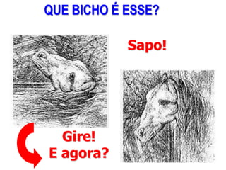 AULA 6
Gire!
E agora?
Sapo!
QUE BICHO É ESSE?
 