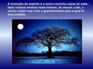 A evolução do espírito é o único caminho capaz de satis-fazer nossos anseios mais íntimos, de vencer a dor, a morte e fazer-nos viver a grandiosidade para a qual fo-mos criados.  