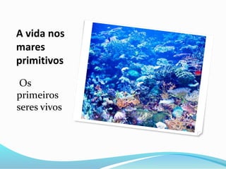 A vida nos
mares
primitivos
Os
primeiros
seres vivos
 