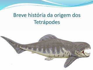 Breve história da origem dos
Tetrápodes
 