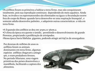 Os anfíbios foram os primeiros a habitar a terra firme, mas não conquistaram
totalmente, pois sua reprodução continuou dependendo do meio aquático. Ainda
hoje, os óvulos e os espermatozoides são eliminados na água e a fecundação ocorre
fora do corpo da fêmea: quando larva desenvolve-se uma respiração branquial , e
somente adulto desenvolve pulmões , e adquirem outras características a vida em
terra firme.
•A Expansão dos anfíbios se deu em 375m.a e 360m.a.
•O clima da época era quente e úmido, permitindo o desenvolvimento de grande
florestas, propiciando a proliferação de artrópodes.
•Nessa época havia libélulas gigantes, podendo atingir até 65Cm de envergadura
Por dezenas de milhões de anos os
anfíbios foram os animais
dominantes em terra firme, algumas
espécies anfíbias chegavam a atingir
9m, e eram predadores ferozes.
No período Siluriano, uma viagem
primitivas dos peixes desenvolveu a
mandíbula, facilitando a captura dos
alimentos.
 