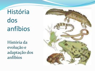 História
dos
anfíbios
História da
evolução e
adaptação dos
anfíbios
 