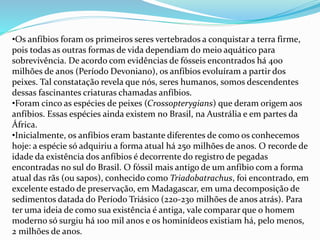 •Os anfíbios foram os primeiros seres vertebrados a conquistar a terra firme,
pois todas as outras formas de vida dependiam do meio aquático para
sobrevivência. De acordo com evidências de fósseis encontrados há 400
milhões de anos (Período Devoniano), os anfíbios evoluíram a partir dos
peixes. Tal constatação revela que nós, seres humanos, somos descendentes
dessas fascinantes criaturas chamadas anfíbios.
•Foram cinco as espécies de peixes (Crossopterygians) que deram origem aos
anfíbios. Essas espécies ainda existem no Brasil, na Austrália e em partes da
África.
•Inicialmente, os anfíbios eram bastante diferentes de como os conhecemos
hoje: a espécie só adquiriu a forma atual há 250 milhões de anos. O recorde de
idade da existência dos anfíbios é decorrente do registro de pegadas
encontradas no sul do Brasil. O fóssil mais antigo de um anfíbio com a forma
atual das rãs (ou sapos), conhecido como Triadobatrachus, foi encontrado, em
excelente estado de preservação, em Madagascar, em uma decomposição de
sedimentos datada do Período Triásico (220-230 milhões de anos atrás). Para
ter uma ideia de como sua existência é antiga, vale comparar que o homem
moderno só surgiu há 100 mil anos e os hominídeos existiam há, pelo menos,
2 milhões de anos.
 