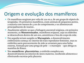 Origem e evolução dos mamíferos
 Os mamíferos surgiram por volta de 220 m.a, de um grupo de répteis de
terapsidas. Os primeiros mamíferos, eram animais de pequenos portes,
a maioria com menos de 5 cm de comprimento, e se alimentavam
principalmente de insetos .
 Atualmente admite-se que a linhagem ancestral originou, em primeiro
momento, os Monotremados, mamíferos ovíparos, cujo os embriões
se desenvolvem dentro de um ovo, amnióticos e fora do corpo da mãe.
 Em seguida teriam surgido os Marsupiais, o desenvolvimento
embrionário começa no interior do trato reprodutor feminino, mas os
embriões saem precocemente da mãe se arrastam para uma bolsa
externa, formada por uma prega de pele – o marsúpio - que abriga os
mamilos da fêmea .
 Nos mamíferos placentários, o embrião completa seu
desenvolvimento no interior do útero materno, recebendo alimentos e
eliminando excretas pela placenta
 