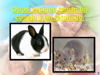 Otros vecinos tenían un
 conejo y un ratoncito.




                 © All rights reserved to Joyce Bruhn de Garavito
 