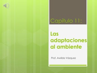 Capítulo 11:

Las
adaptaciones
al ambiente
Prof. Awilda Vázquez
 