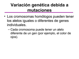 Variación genética debida a
           mutaciones
• Los cromosomas homólogos pueden tener
  los alelos iguales o diferentes de genes
  individuales.
  – Cada cromosoma puede tener un alelo
    diferente de un gen (por ejemplo, el color de
    ojos).
 