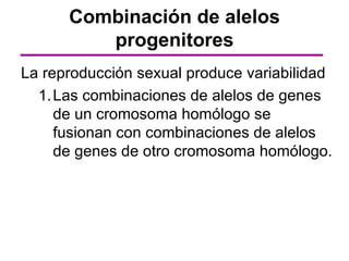 Combinación de alelos
         progenitores
La reproducción sexual produce variabilidad
  1. Las combinaciones de alelos de genes
     de un cromosoma homólogo se
     fusionan con combinaciones de alelos
     de genes de otro cromosoma homólogo.
 