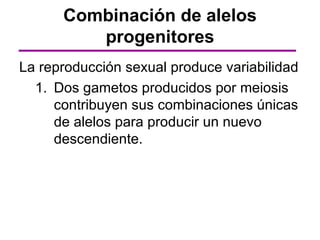 Combinación de alelos
         progenitores
La reproducción sexual produce variabilidad
  1. Dos gametos producidos por meiosis
     contribuyen sus combinaciones únicas
     de alelos para producir un nuevo
     descendiente.
 