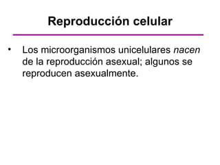 Reproducción celular

•   Los microorganismos unicelulares nacen
    de la reproducción asexual; algunos se
    reproducen asexualmente.
 