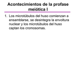 Acontecimientos de la profase
          meiótica I
1. Los microtúbulos del huso comienzan a
   ensamblarse, se desintegra la envoltura
   nuclear y los microtúbulos del huso
   captan los cromosomas.
 