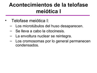 Acontecimientos de la telofase
             meiótica I
•   Telofase meiótica I:
    –   Los microtúbulos del huso desaparecen.
    –   Se lleva a cabo la citocinesis.
    –   La envoltura nuclear se reintegra.
    –   Los cromosomas por lo general permanecen
        condensados.
 