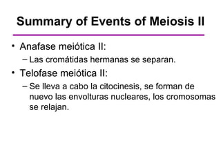 Summary of Events of Meiosis II
• Anafase meiótica II:
  – Las cromátidas hermanas se separan.
• Telofase meiótica II:
  – Se lleva a cabo la citocinesis, se forman de
    nuevo las envolturas nucleares, los cromosomas
    se relajan.
 