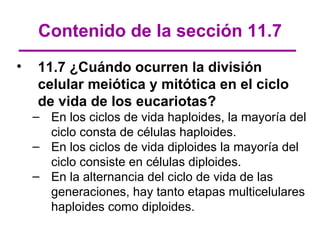 Contenido de la sección 11.7
•   11.7 ¿Cuándo ocurren la división
    celular meiótica y mitótica en el ciclo
    de vida de los eucariotas?
    – En los ciclos de vida haploides, la mayoría del
      ciclo consta de células haploides.
    – En los ciclos de vida diploides la mayoría del
      ciclo consiste en células diploides.
    – En la alternancia del ciclo de vida de las
      generaciones, hay tanto etapas multicelulares
      haploides como diploides.
 