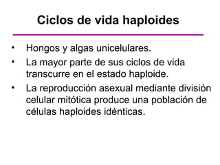 Ciclos de vida haploides

•   Hongos y algas unicelulares.
•   La mayor parte de sus ciclos de vida
    transcurre en el estado haploide.
•   La reproducción asexual mediante división
    celular mitótica produce una población de
    células haploides idénticas.
 