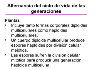 Alternancia del ciclo de vida de las
           generaciones
Plantas
• Incluye tanto formas corporales diploides
   multicelulares como haploides
   multicelulares.
• Un cuerpo diploide multicelular produce
   esporas haploides por división celular
   meiótica.
• Las esporas sufren la división celular
   mitótica para producir una generación
   haploide multicelular.
 