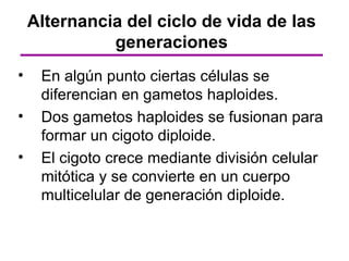 Alternancia del ciclo de vida de las
              generaciones
•    En algún punto ciertas células se
     diferencian en gametos haploides.
•    Dos gametos haploides se fusionan para
     formar un cigoto diploide.
•    El cigoto crece mediante división celular
     mitótica y se convierte en un cuerpo
     multicelular de generación diploide.
 