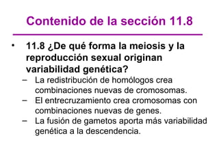 Contenido de la sección 11.8
•   11.8 ¿De qué forma la meiosis y la
    reproducción sexual originan
    variabilidad genética?
    – La redistribución de homólogos crea
      combinaciones nuevas de cromosomas.
    – El entrecruzamiento crea cromosomas con
      combinaciones nuevas de genes.
    – La fusión de gametos aporta más variabilidad
      genética a la descendencia.
 