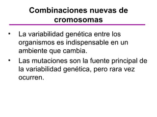 Combinaciones nuevas de
            cromosomas
•   La variabilidad genética entre los
    organismos es indispensable en un
    ambiente que cambia.
•   Las mutaciones son la fuente principal de
    la variabilidad genética, pero rara vez
    ocurren.
 