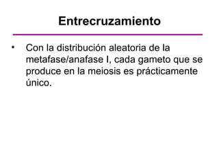 Entrecruzamiento

•   Con la distribución aleatoria de la
    metafase/anafase I, cada gameto que se
    produce en la meiosis es prácticamente
    único.
 