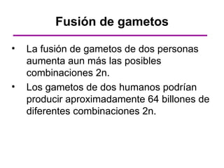 Fusión de gametos

•   La fusión de gametos de dos personas
    aumenta aun más las posibles
    combinaciones 2n.
•   Los gametos de dos humanos podrían
    producir aproximadamente 64 billones de
    diferentes combinaciones 2n.
 
