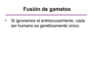 Fusión de gametos

•   Si ignoramos el entrecruzamiento, cada
    ser humano es genéticamente único.
 