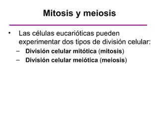 Mitosis y meiosis

•   Las células eucarióticas pueden
    experimentar dos tipos de división celular:
    – División celular mitótica (mitosis)
    – División celular meiótica (meiosis)
 