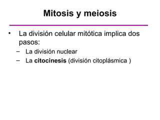 Mitosis y meiosis

•   La división celular mitótica implica dos
    pasos:
    – La división nuclear
    – La citocinesis (división citoplásmica )
 