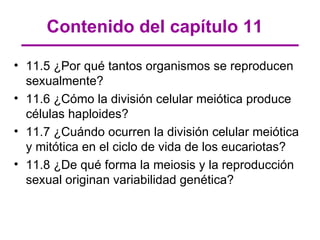 Contenido del capítulo 11

• 11.5 ¿Por qué tantos organismos se reproducen
  sexualmente?
• 11.6 ¿Cómo la división celular meiótica produce
  células haploides?
• 11.7 ¿Cuándo ocurren la división celular meiótica
  y mitótica en el ciclo de vida de los eucariotas?
• 11.8 ¿De qué forma la meiosis y la reproducción
  sexual originan variabilidad genética?
 