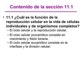 Contenido de la sección 11.1

• 11.1 ¿Cuál es la función de la
  reproducción celular en la vida de células
  individuales y de organismos completos?
  – El ciclo celular y la reproducción celular.
  – El ciclo celular procariótico consiste en
    crecimiento y fisión binaria.
  – El ciclo celular eucariótico consiste en la
    interfase y la división celular.
 