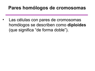 Pares homólogos de cromosomas

•   Las células con pares de cromosomas
    homólogos se describen como diploides
    (que significa “de forma doble”).
 