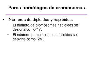 Pares homólogos de cromosomas

•   Números de diploides y haploides:
    – El número de cromosomas haploides se
      designa como “n”.
    – El número de cromosomas diploides se
      designa como “2n”.
 