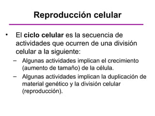 Reproducción celular

•   El ciclo celular es la secuencia de
    actividades que ocurren de una división
    celular a la siguiente:
    – Algunas actividades implican el crecimiento
      (aumento de tamaño) de la célula.
    – Algunas actividades implican la duplicación de
      material genético y la división celular
      (reproducción).
 
