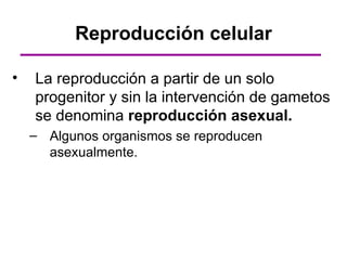 Reproducción celular

•   La reproducción a partir de un solo
    progenitor y sin la intervención de gametos
    se denomina reproducción asexual.
    – Algunos organismos se reproducen
      asexualmente.
 