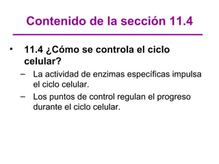 Contenido de la sección 11.4

•   11.4 ¿Cómo se controla el ciclo
    celular?
    – La actividad de enzimas específicas impulsa
      el ciclo celular.
    – Los puntos de control regulan el progreso
      durante el ciclo celular.
 