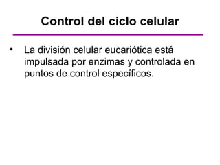 Control del ciclo celular

•   La división celular eucariótica está
    impulsada por enzimas y controlada en
    puntos de control específicos.
 