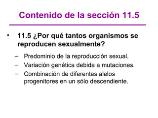 Contenido de la sección 11.5

•   11.5 ¿Por qué tantos organismos se
    reproducen sexualmente?
    – Predominio de la reproducción sexual.
    – Variación genética debida a mutaciones.
    – Combinación de diferentes alelos
      progenitores en un sólo descendiente.
 