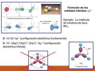Ejemplo: La molécula
de trihidruro de boro,
BH3.
B: 1s2 2s2 sp1 (configuración electrónica fundamental)
B: 1s2 (2sp2) 1(2sp2) 1 (2sp2) 1 2pz
0 (configuración
electrónica híbrida)
Formción de los
orbitales híbridos sp2
 