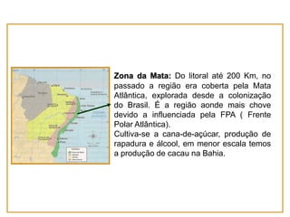 Zona da Mata: Do litoral até 200 Km, no
passado a região era coberta pela Mata
Atlântica, explorada desde a colonização
do Brasil. É a região aonde mais chove
devido a influenciada pela FPA ( Frente
Polar Atlântica).
Cultiva-se a cana-de-açúcar, produção de
rapadura e álcool, em menor escala temos
a produção de cacau na Bahia.

 