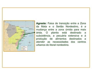 Agreste: Faixa de transição entre a Zona
da Mata e o Sertão Nordestino, é a
mudança entre a zona úmida para mais
árida. O plantio está destinado a
subsistência, a pecuária extensiva e à
produção de alimentos destinados a
atender as necessidades dos centros
urbanos do litoral nordestino.

 