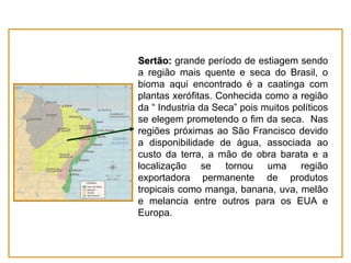 Sertão: grande período de estiagem sendo
a região mais quente e seca do Brasil, o
bioma aqui encontrado é a caatinga com
plantas xerófitas. Conhecida como a região
da “ Industria da Seca” pois muitos políticos
se elegem prometendo o fim da seca. Nas
regiões próximas ao São Francisco devido
a disponibilidade de água, associada ao
custo da terra, a mão de obra barata e a
localização se tornou uma região
exportadora permanente de produtos
tropicais como manga, banana, uva, melão
e melancia entre outros para os EUA e
Europa.

 