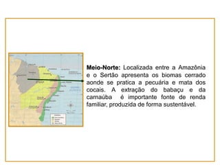 Meio-Norte: Localizada entre a Amazônia
e o Sertão apresenta os biomas cerrado
aonde se pratica a pecuária e mata dos
cocais. A extração do babaçu e da
carnaúba é importante fonte de renda
familiar, produzida de forma sustentável.

 