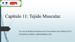 Capítulo 11: Tejido Muscular.
IX ciclo de Medicina Humana en la Universidad Cesar Vallejo (UCV)
FUENTES JUÁREZ, CRISTOPHER LUIS
 