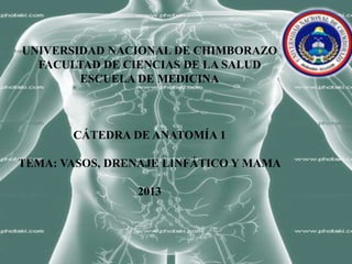 UNIVERSIDAD NACIONAL DE CHIMBORAZO
FACULTAD DE CIENCIAS DE LA SALUD
ESCUELA DE MEDICINA

CÁTEDRA DE ANATOMÍA 1
TEMA: VASOS, DRENAJE LINFÁTICO Y MAMA
2013

 