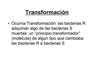 Transformación
• Ocurría Transformación: las bacterias R
  adquirían algo de las bacterias S
  muertas: un “principio transformador”
  (molécula) de algún tipo que cambiaba
  las bacterias R a bacterias S
 
