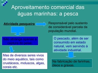 Aproveitamento comercial das
       águas marinhas: a pesca
Atividade pesqueira            Responsável pelo sustento
                               de considerável parcela da
                               população mundial.

Não abrange apenas a              O pescado, além de ser
  captura do peixe.               consumido em estado
                                  natural, vem servindo à
                                  atividade industrial.
Mas de diversos seres vivos
do meio aquático, tais como
                                 Na fabricação de farinhas,
crustáceos, moluscos, algas,
                                 óleos e graxas.
corais etc.
 