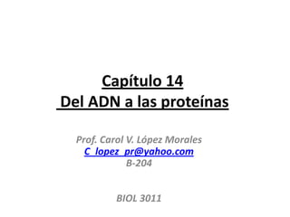 Capítulo 14
Del ADN a las proteínas

  Prof. Carol V. López Morales
    C_lopez_pr@yahoo.com
              B-204


          BIOL 3011
 