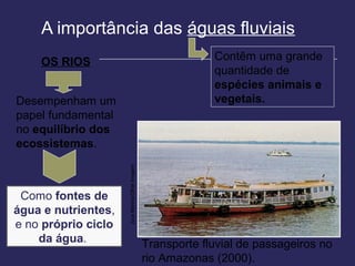 A importância das águas fluviais
    OS RIOS                                                   Contêm uma grande
                                                              quantidade de
                                                              espécies animais e
Desempenham um                                                vegetais.
papel fundamental
no equilíbrio dos
ecossistemas.
                     Juca Martins/Olhar Imagem




 Como fontes de
água e nutrientes,
e no próprio ciclo
    da água.                                     Transporte fluvial de passageiros no
                                                 rio Amazonas (2000).
 